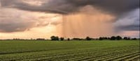 Will good rains reduce inflation?